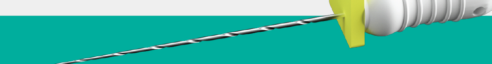 RAMO RCS Shape D stainless steel endodontic hand file