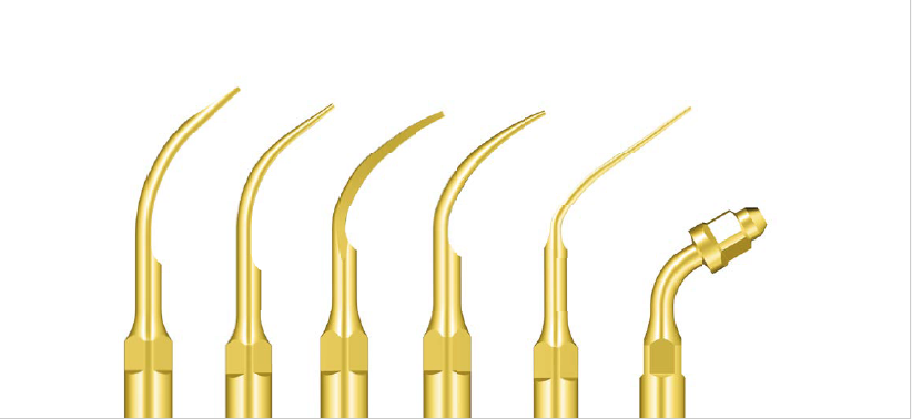 Woodpecker Tips